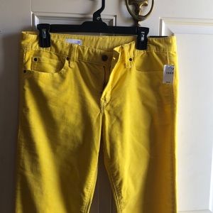 GAP yellow cords